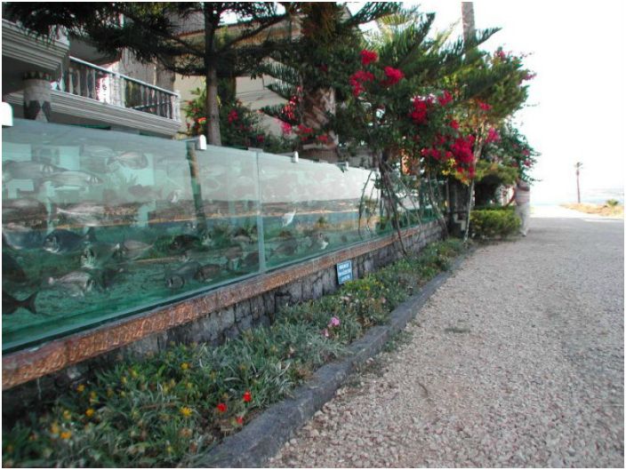 Fencing in the form of an aquarium.