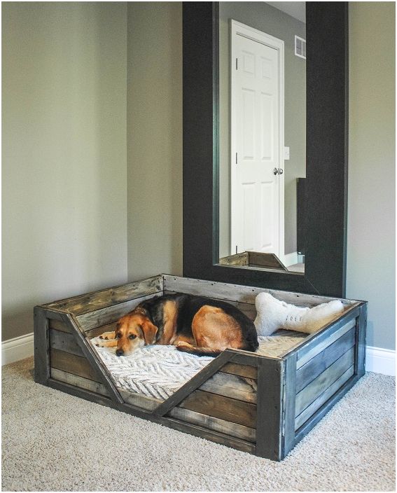 It is possible to create a cozy place for furry friends in any room of the house.