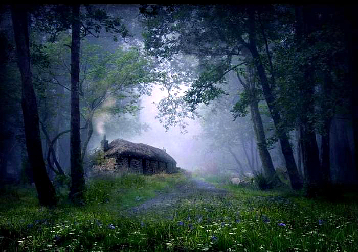 Cabane en pierre dans la forêt.