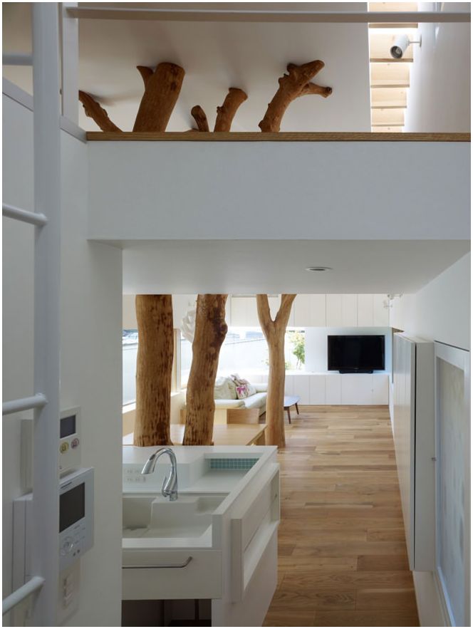 stromy uvnitř domu