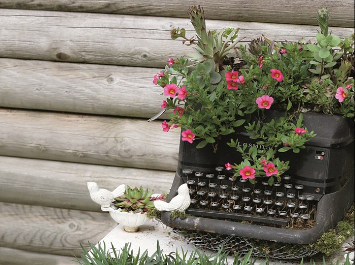 En skrivemaskin er en flott dekorasjon for enhver hage, spesielt med blomster i seg.