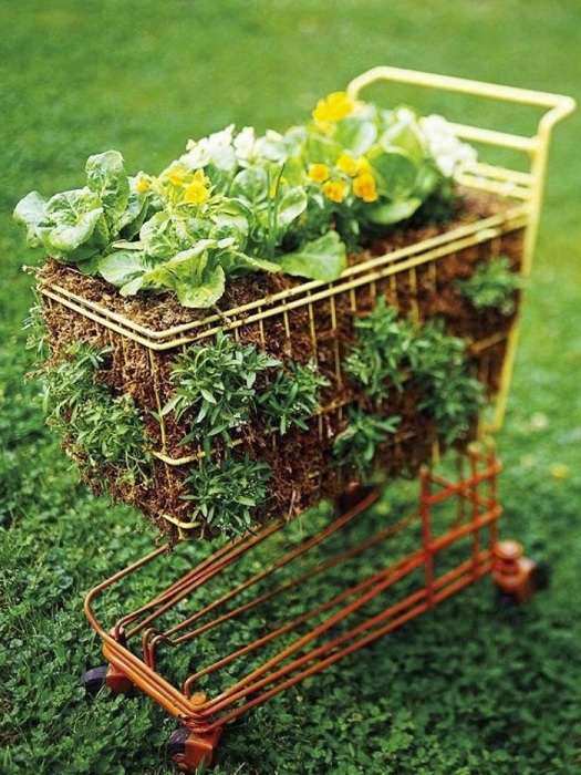 Страхотен вариант за декориране на градината изглежда - в кошница от магазина.