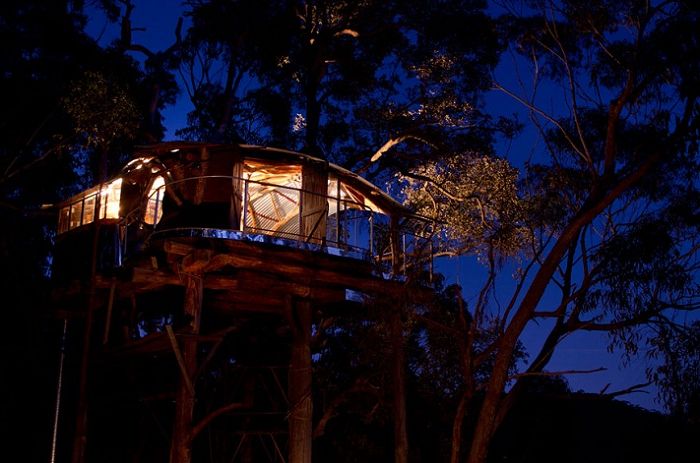 Wollemi Wilderness & rsquo; s Tree House е хижа с дървета в тропическите гори.