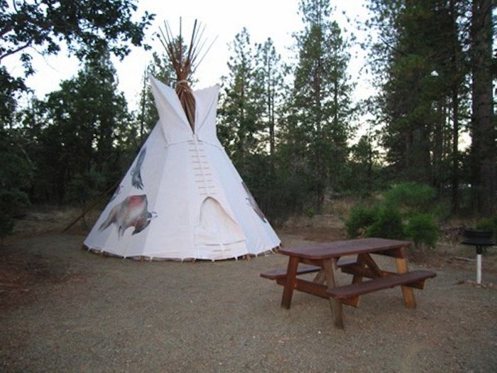 Buffalo Tipi.