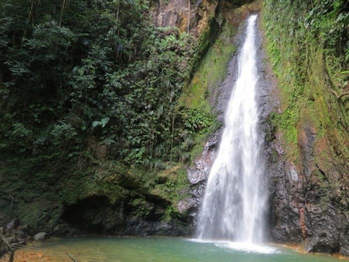 La douche de Tarzan.