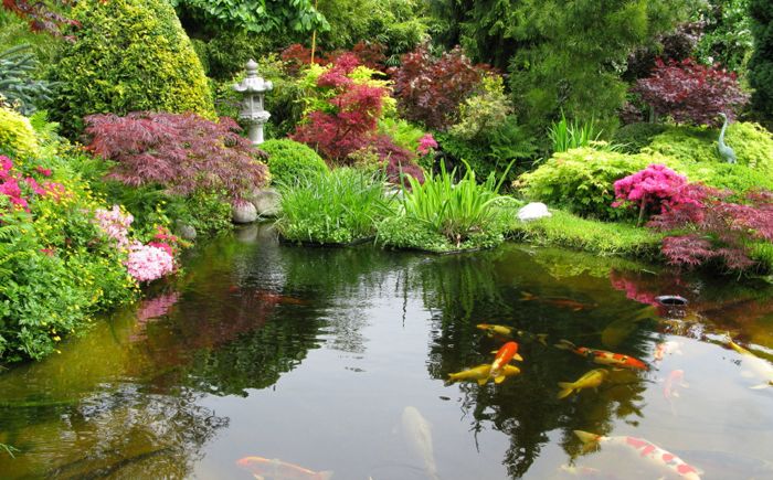 Езерце в японска градина