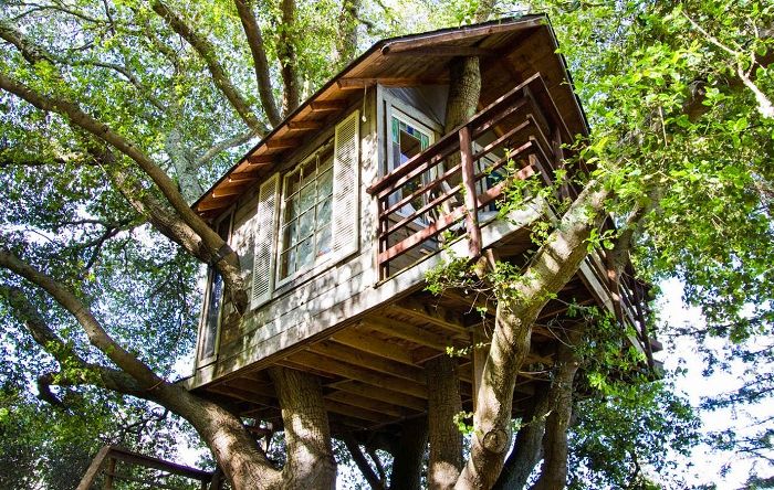 Treehouse San Francisco Bay - къща, разположена на височина 9 метра.