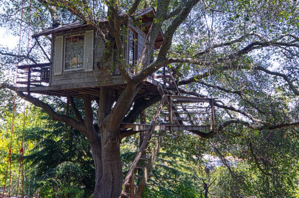 Dům na stromě-9