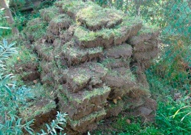 Giardino roccioso fai-da-te nel paese: foto