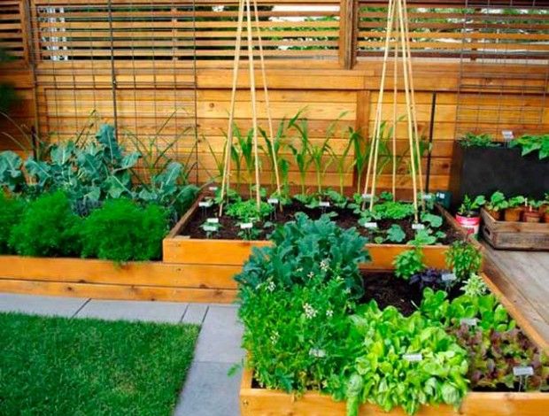 Zahradní a zeleninová zahrada na 6 akrech: foto