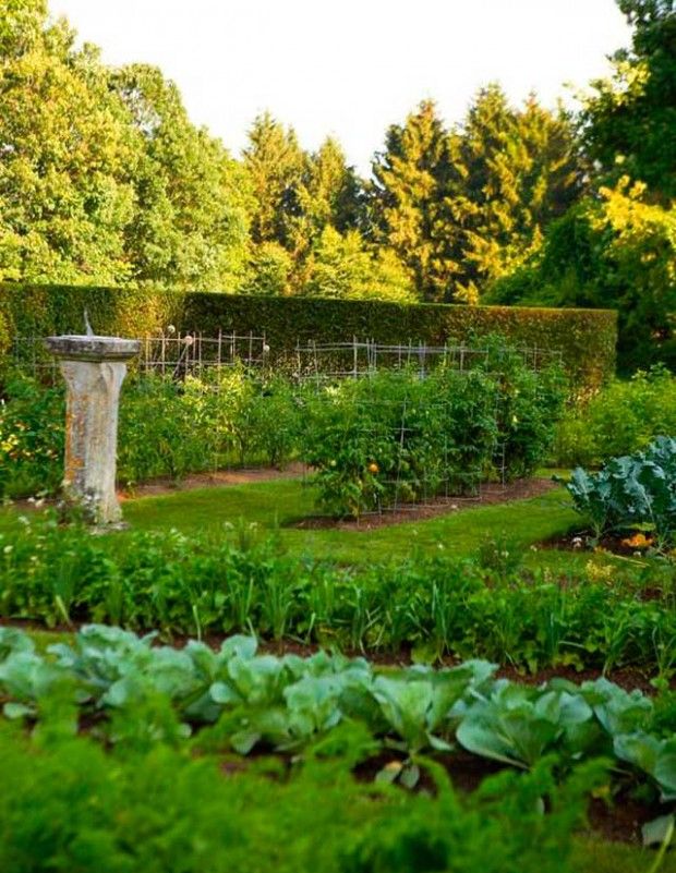 Дизайн на градина и зеленчуци на 6 дка: снимка