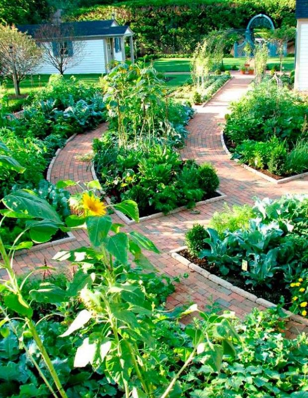 Trädgårds- och grönsaksträdgårdsdesign på 6 tunnland: foto