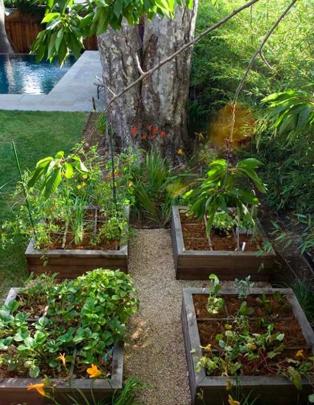 Dizajn vrta i povrća na 6 hektara: fotografija