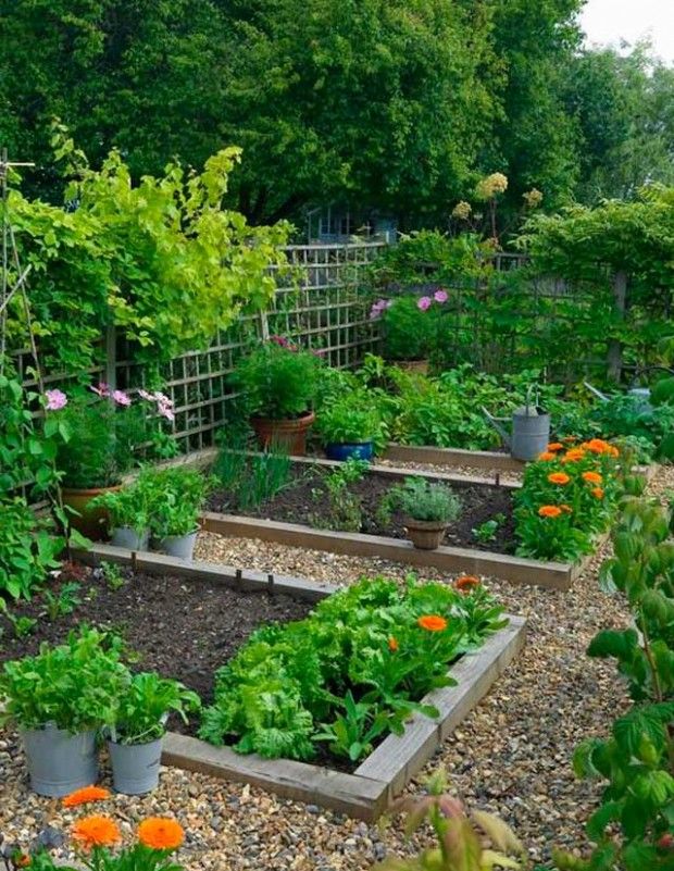 Záhradná a zeleninová záhrada na 6 hektároch: fotografia