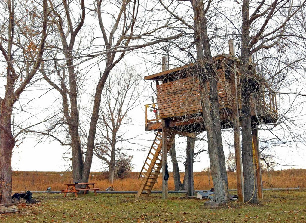 Casa entre los arboles