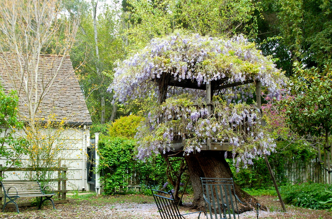 Tree house in flowers
