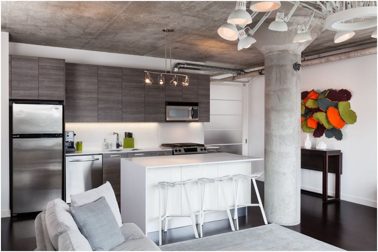 Kök-vardagsrum med bar: foton av interiörer i olika tematisk design