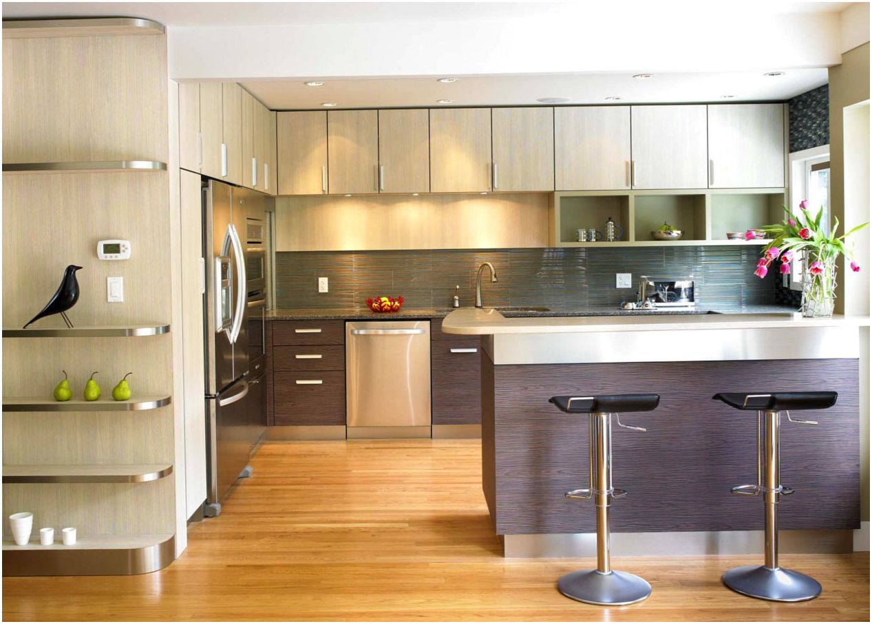 غرفة المعيشة المطبخ مع شريط: الأفكار الأصلية للداخلية
